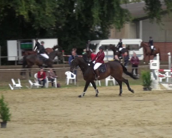 Reitturnier Willich-Anrath-Neersen 2021