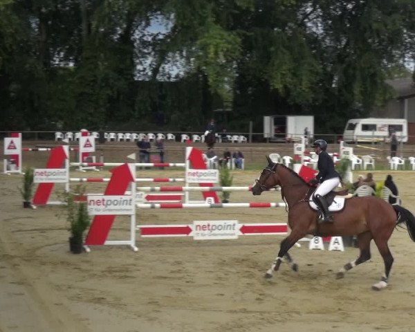 Reitturnier Willich-Anrath-Neersen 2021