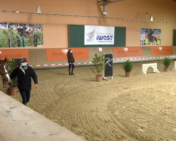 "IWEST" Free Jumping Day - Gut Winkelacker