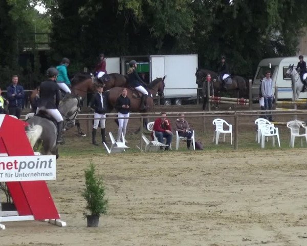 Reitturnier Willich-Anrath-Neersen 2021