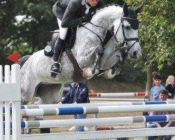 jumper Celine Burme (Hanoverian, 2009, from Cornado NRW)