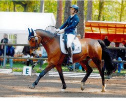 jumper Advantage (Westphalian, 2003, from Adlantus As FRH)