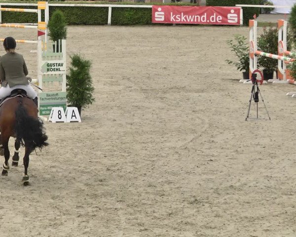Pferd und Mensch St.Wendel, Gestüt Welvert 2021