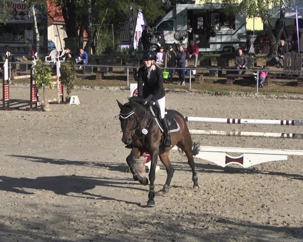 Reitturnier Neunkirchen-City 2021
