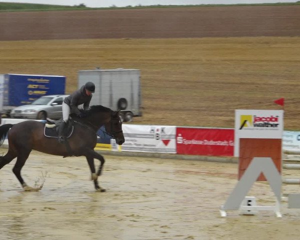 Springturnier Duderstadt 2021