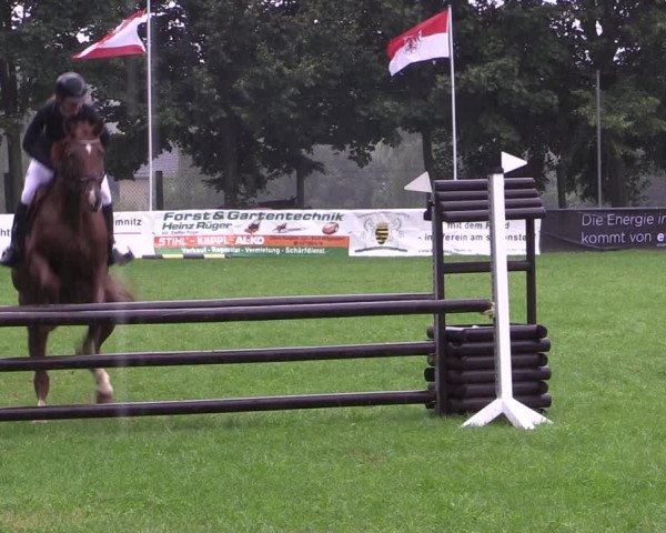 Springturnier Röhrsdorf/ Chemnitz 2021
