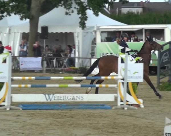 Reitturnier Willich-Anrath-Neersen 2021
