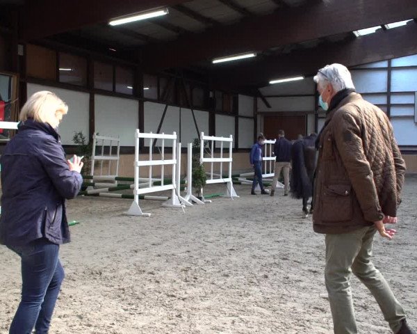 Stutenleistungsprüfung & Eintragung in Wickrath 2021
