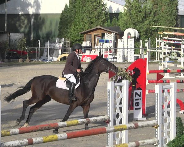 Reitturnier Neunkirchen-City 2021