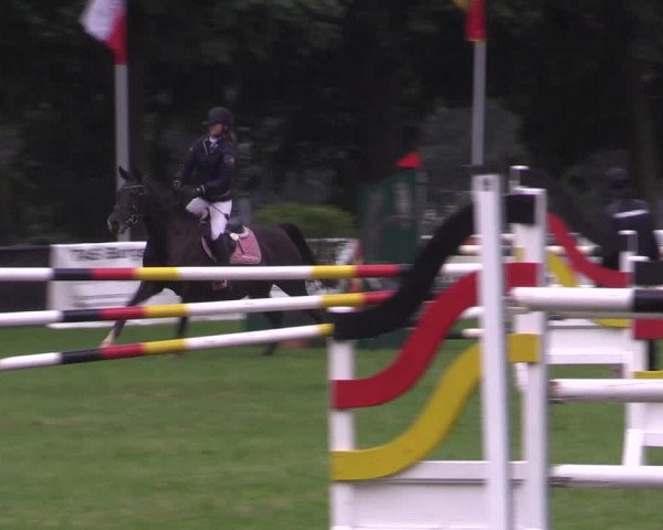 Springturnier Röhrsdorf/ Chemnitz 2021