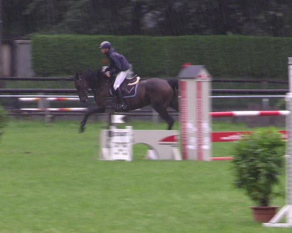 Springturnier Röhrsdorf/ Chemnitz 2021