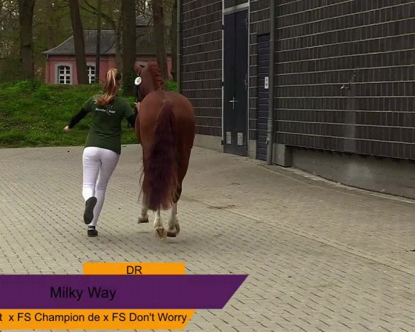 Rheinische Nachkörung 2021