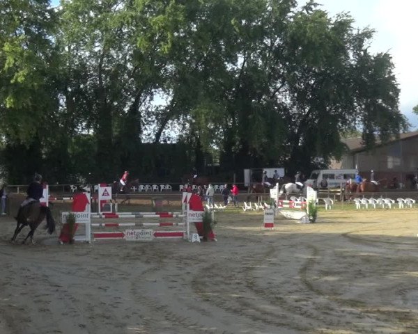 Reitturnier Willich-Anrath-Neersen 2021