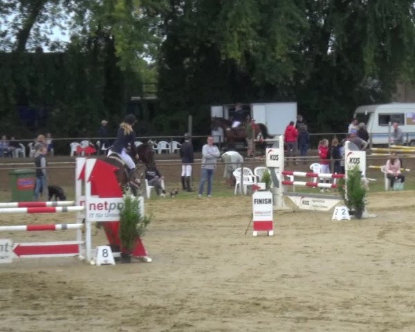 Reitturnier Willich-Anrath-Neersen 2021