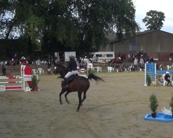 Reitturnier Willich-Anrath-Neersen 2021