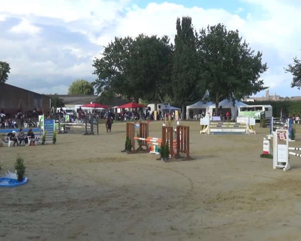 Reitturnier Willich-Anrath-Neersen 2021
