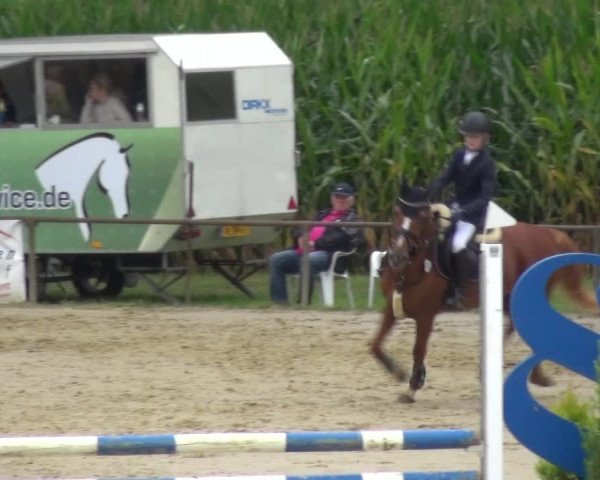 Reitturnier Willich-Anrath-Neersen 2021