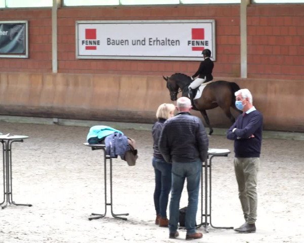 Stutenleistungsprüfung & Eintragung in Wickrath 2021