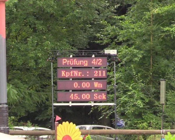 Springturnier Sieversen - Rosengarten 2021