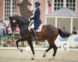 dressage horse Fideramber (Westphalian, 2000, from Fidermark)