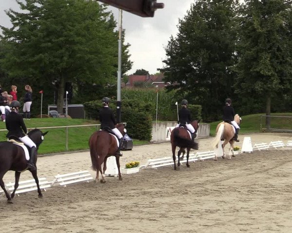 Provinzialturnier Appelhülsen 2021