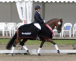 Zuchtstute Daddy's Chanel (Deutsches Reitpony, 2011, von FS Daddy Cool)