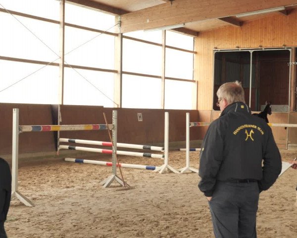 Hannoveraner Zuchtstutenprüfung mit Prämierung in Neuenfelde 2021