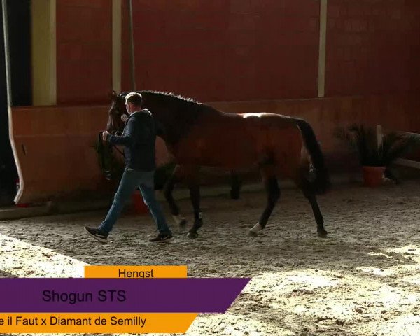 NRW Freispringchampionat
