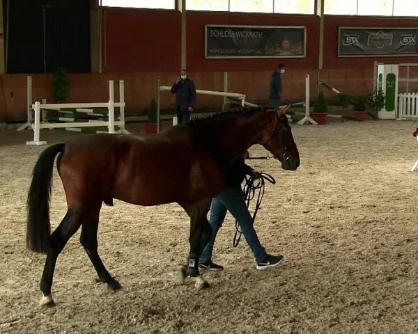 NRW Freispringchampionat