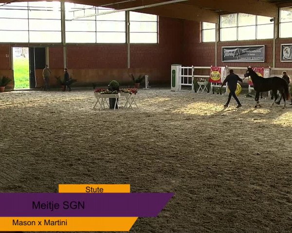 NRW Freispringchampionat