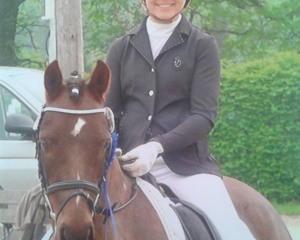 dressage horse Carlos 683 (Pony without race description, 1999)