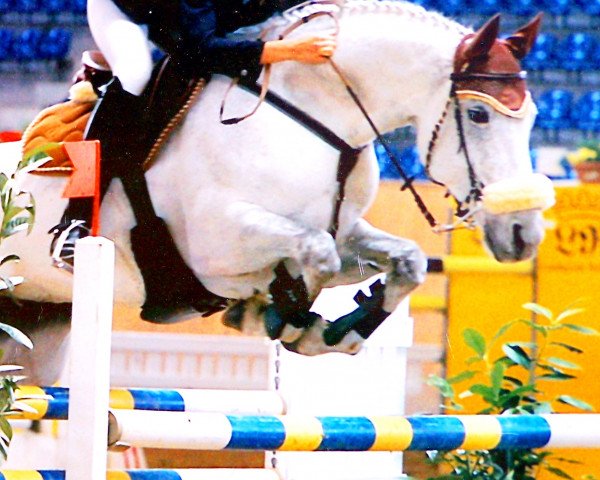 jumper Willow (Hanoverian, 1995, from Wanderer)