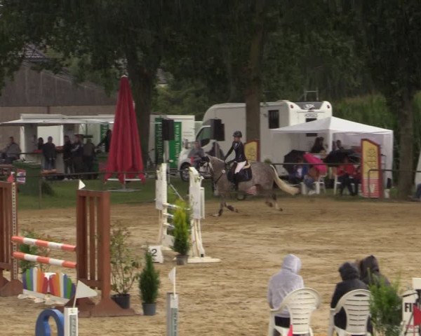 Reitturnier Willich-Anrath-Neersen 2021