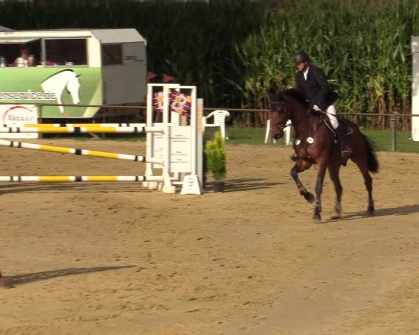 Reitturnier Willich-Anrath-Neersen 2021