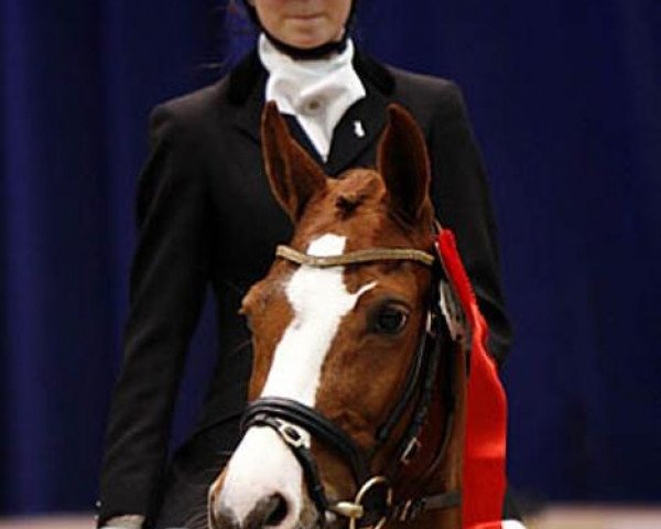 horse Ulfenbach Desiree C (German Riding Pony, 1998, from Dornik B)