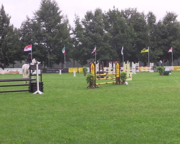 Springturnier Röhrsdorf/ Chemnitz 2021