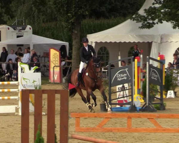 Reitturnier Willich-Anrath-Neersen 2021