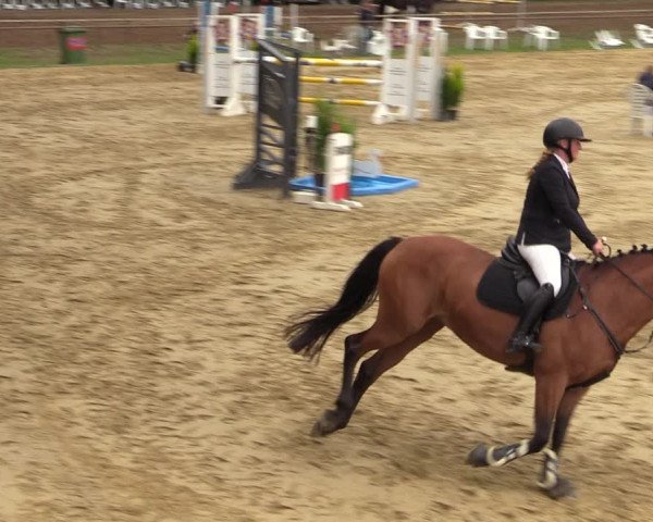 Reitturnier Willich-Anrath-Neersen 2021