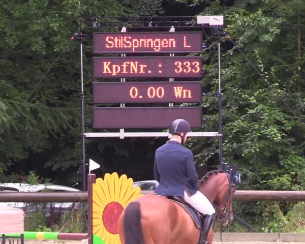 Springturnier Sieversen - Rosengarten 2021
