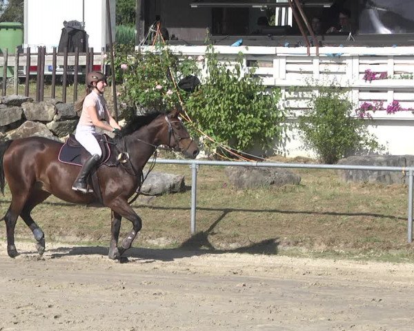 Reitturnier Neunkirchen-City 2021