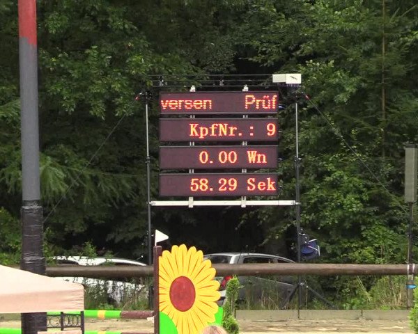 Springturnier Sieversen - Rosengarten 2021