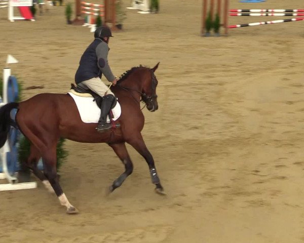 Reitturnier Willich-Anrath-Neersen 2021