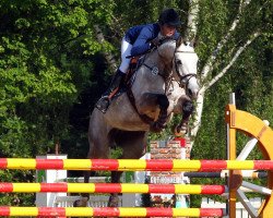 broodmare Celita (KWPN (Royal Dutch Sporthorse), 2006, from Casco 4)