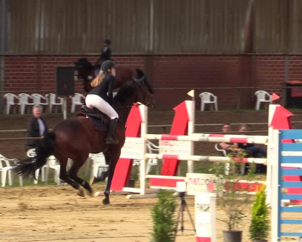 Reitturnier Willich-Anrath-Neersen 2021
