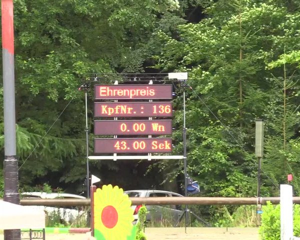 Springturnier Sieversen - Rosengarten 2021