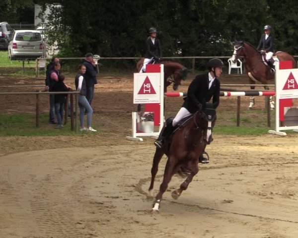 Reitturnier Willich-Anrath-Neersen 2021