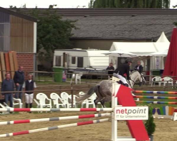 Reitturnier Willich-Anrath-Neersen 2021