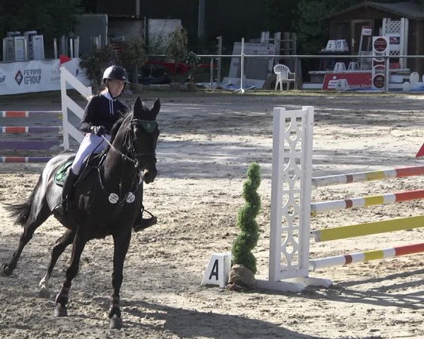 Reitturnier Neunkirchen-City 2021