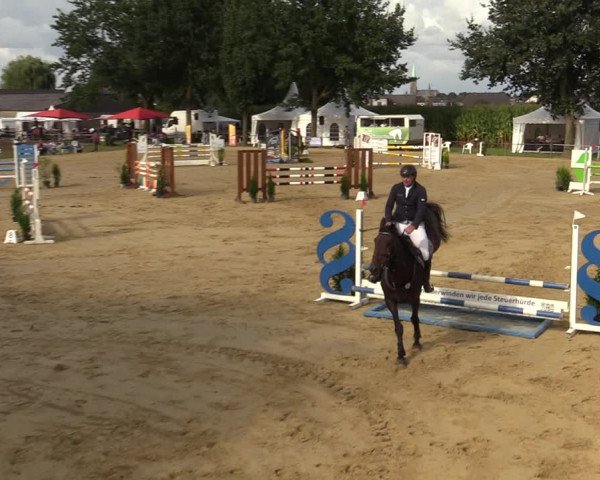 Reitturnier Willich-Anrath-Neersen 2021