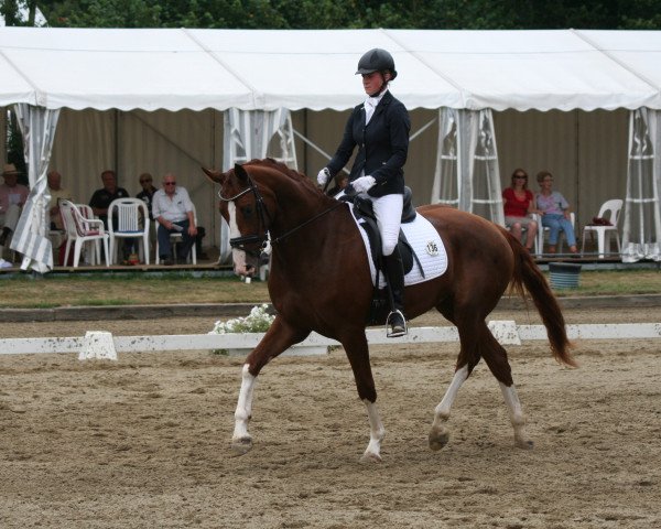 broodmare Beckers Beste B (Westphalian, 2010, from Benetton Dream FRH 1301)